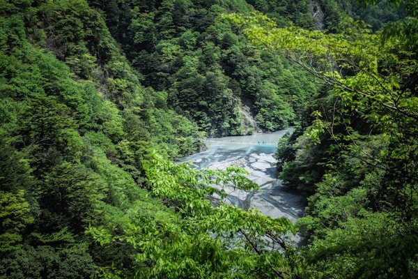 绿源环保公益短剧《地球守护者》 绿源环保公益短剧《地球守护者》 - 免免漫剧客户案例展示